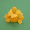 Fiore Primavera naturale e arancione per bomboniera