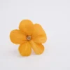 Fiore Primavera naturale e arancione per bomboniera