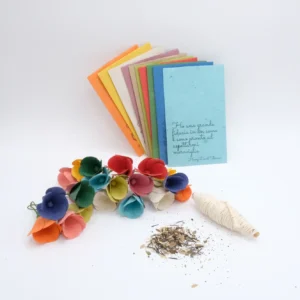Set di 10 buste e 20 confezioni di semi vari