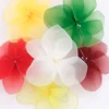 Fiore Araliya classico grande per bomboniera