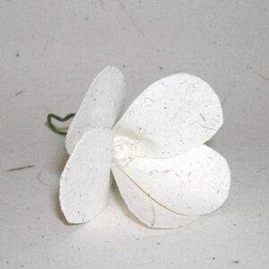 Fiore papavero dung small per bomboniera