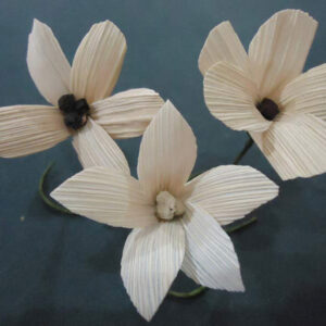 Fiore di spezie per bomboniera