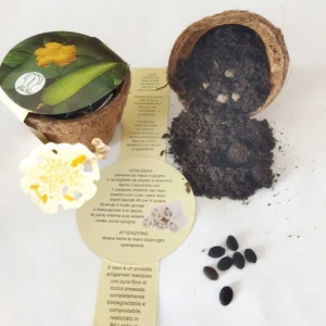 Fioriera con semi di fiori di luffa