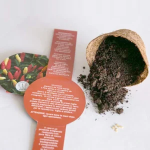 Fioriera con semi di peperoncino