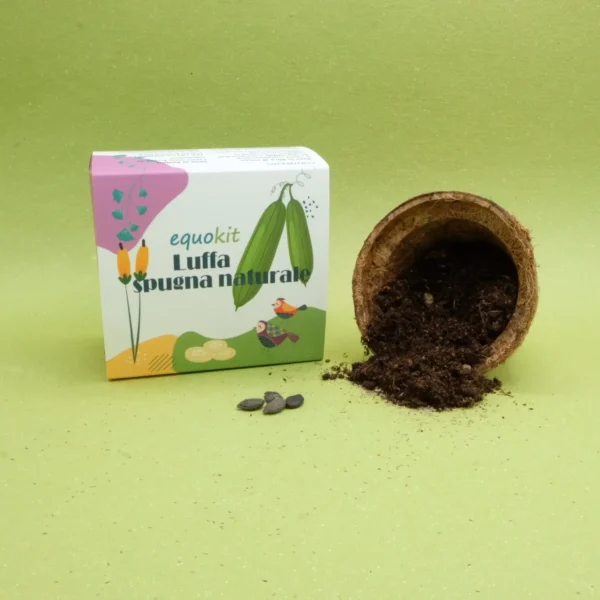 Equokit per fioriera con semi di luffa