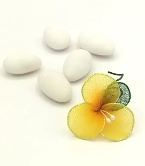 Fiore Araliya classico per bomboniera