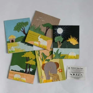 Biglietto di auguri colori e disegni assortiti in carta di cacca di elefante